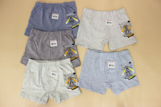 Боксеры для мальчика (6-11 лет) Донелла