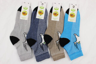 Шкарпетки дитячі літні (18р)