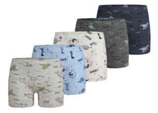 Боксеры для мальчика (0-9 лет) Донелла