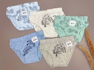 Трусики для мальчика (6-7 лет) Донелла