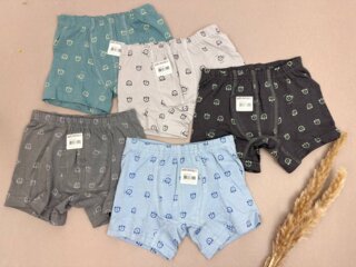 Боксеры для мальчика (10-11 лет) Донелла