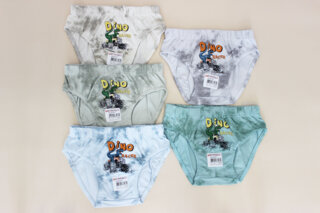 Трусики для мальчика (6-9 лет) Донелла