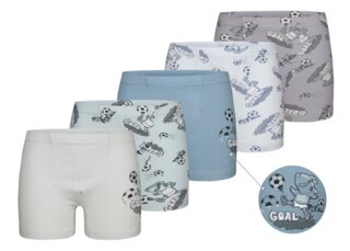 Боксеры для мальчика (0-9 лет) Донелла