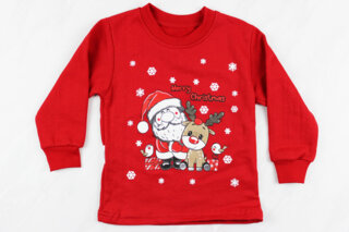 Дитячий реглан  (2-3 років 92-98 ріст)