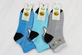 Шкарпетки дитячі літні (16р)