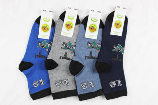 Шкарпетки дитячі всесезонні (20-22р)